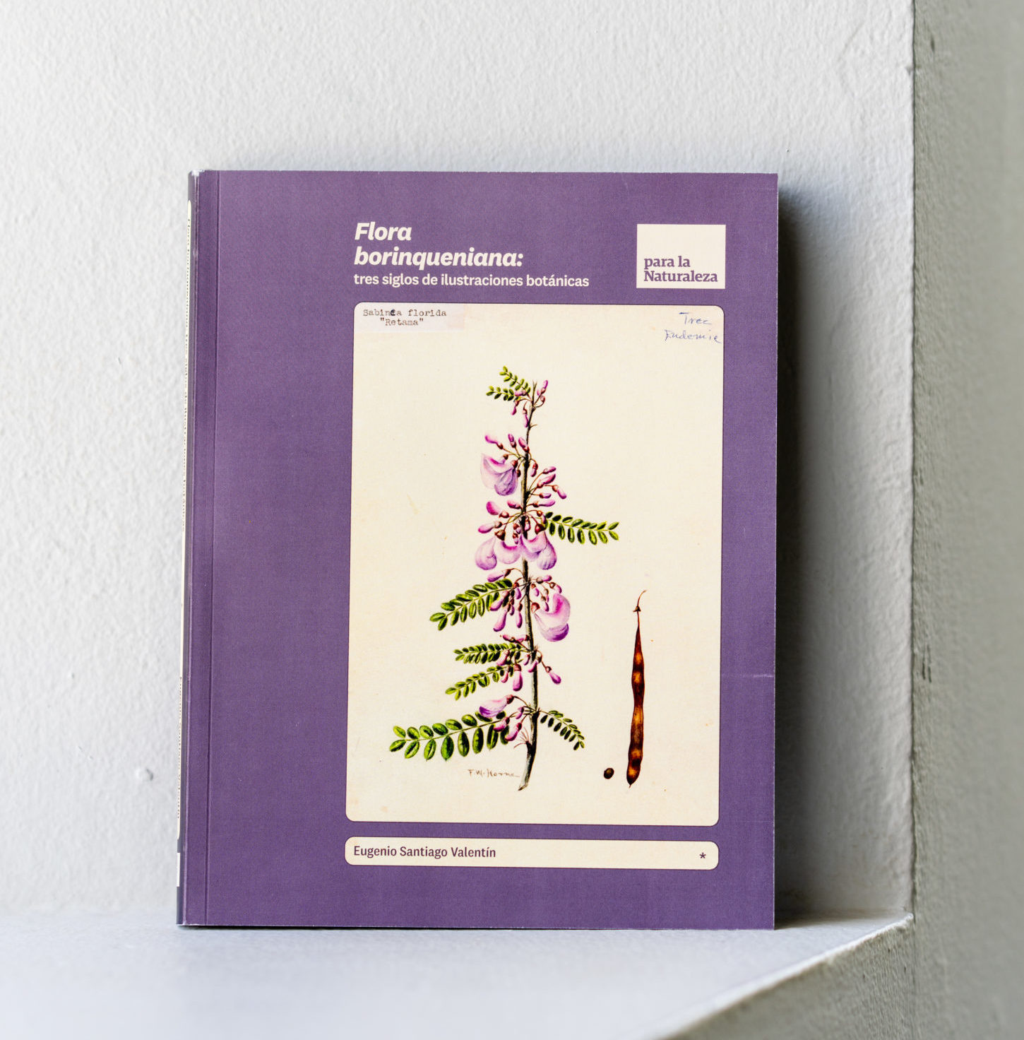 Flora borinqueniana: tres siglos de ilustraciones botánicas