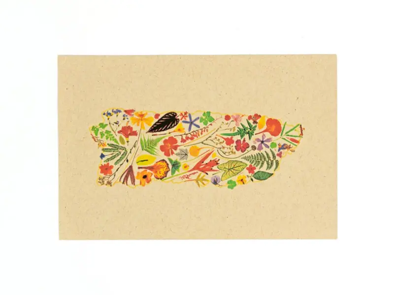 Pupa by Gio Puerto Rico Florece Art Print