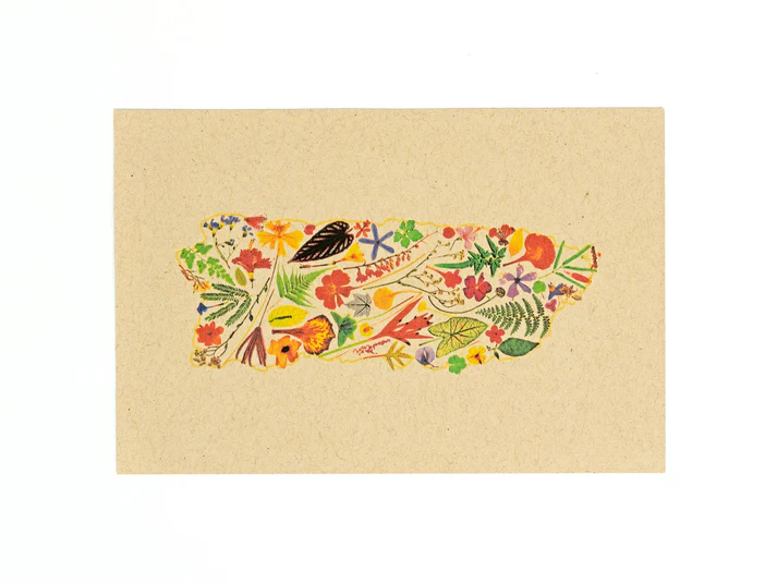 Pupa by Gio Puerto Rico Florece Art Print