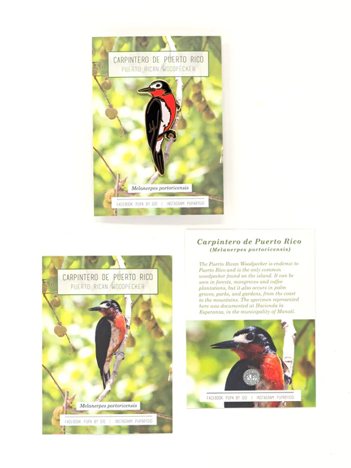 Pupa by Gio Pin Carpintero