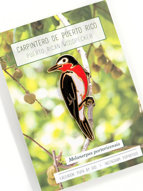 Pupa by Gio Pin Carpintero