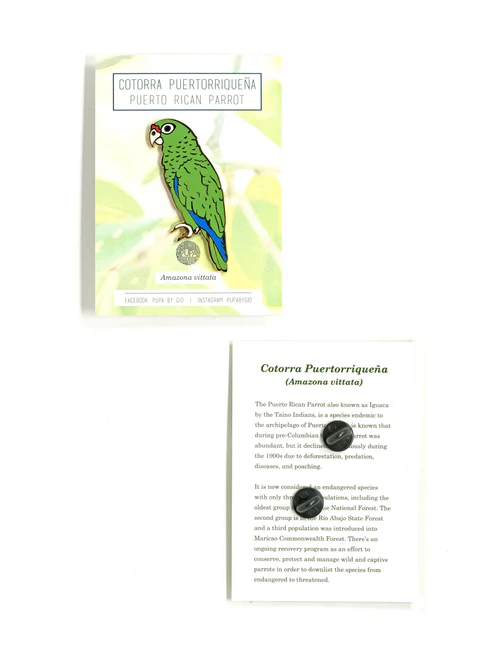 Pupa by Gio Pin Iguaca