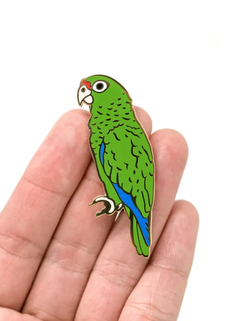 Pupa by Gio Iguaca Pin