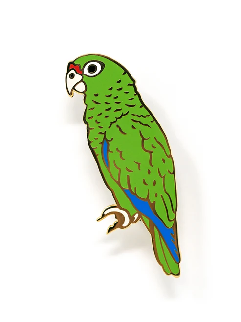 Pupa by Gio Iguaca Pin
