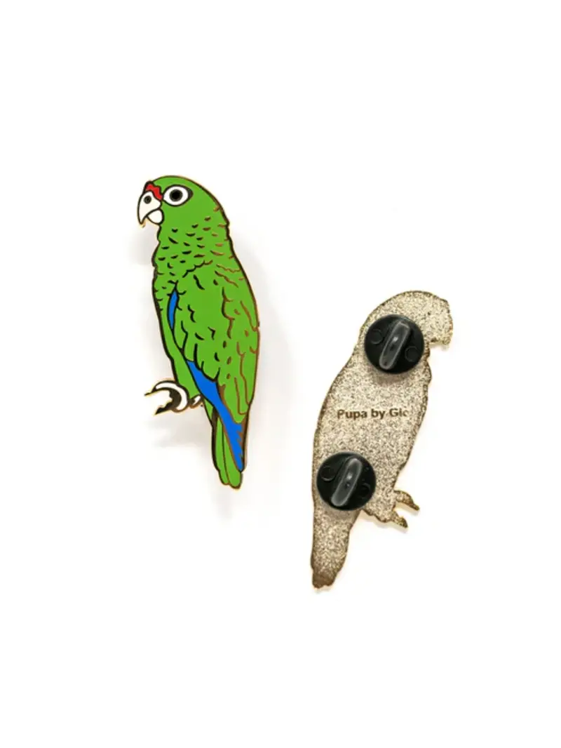 Pupa by Gio Iguaca Pin