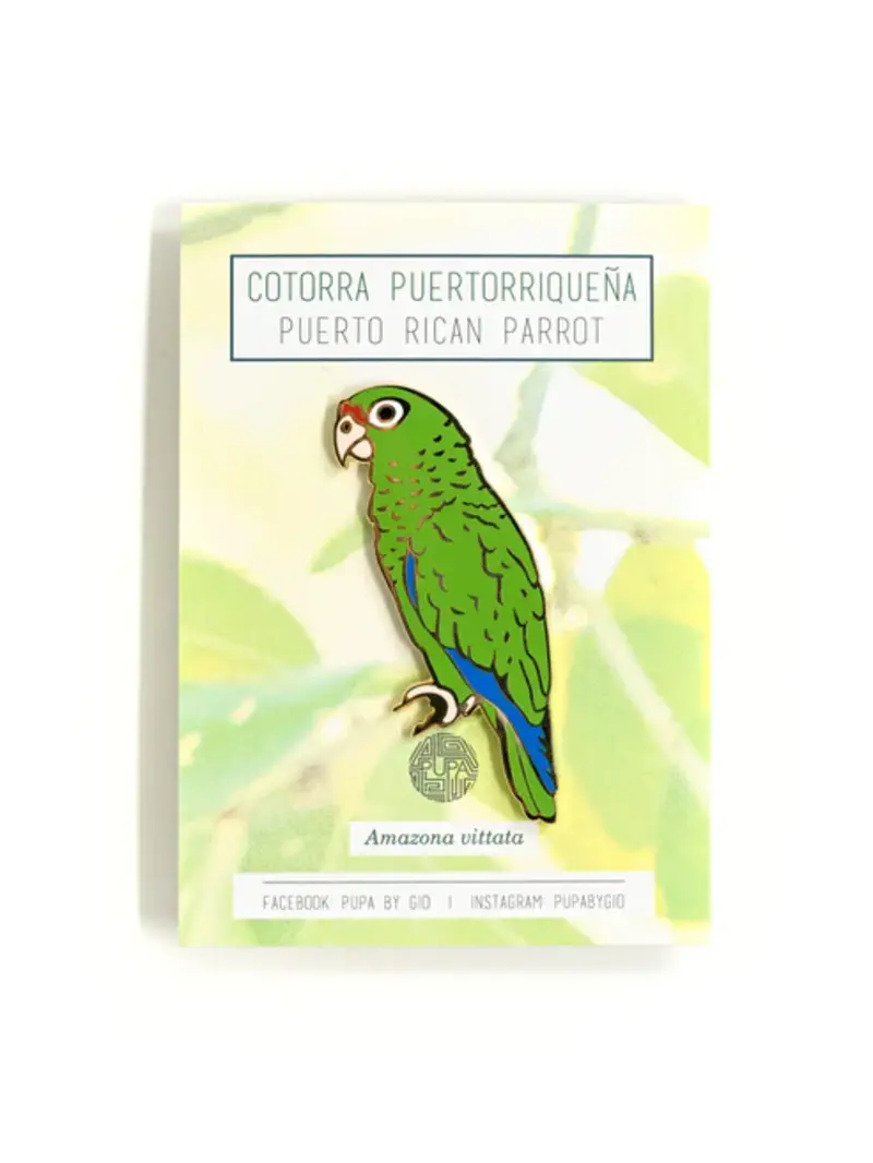 Pupa by Gio Pin Iguaca