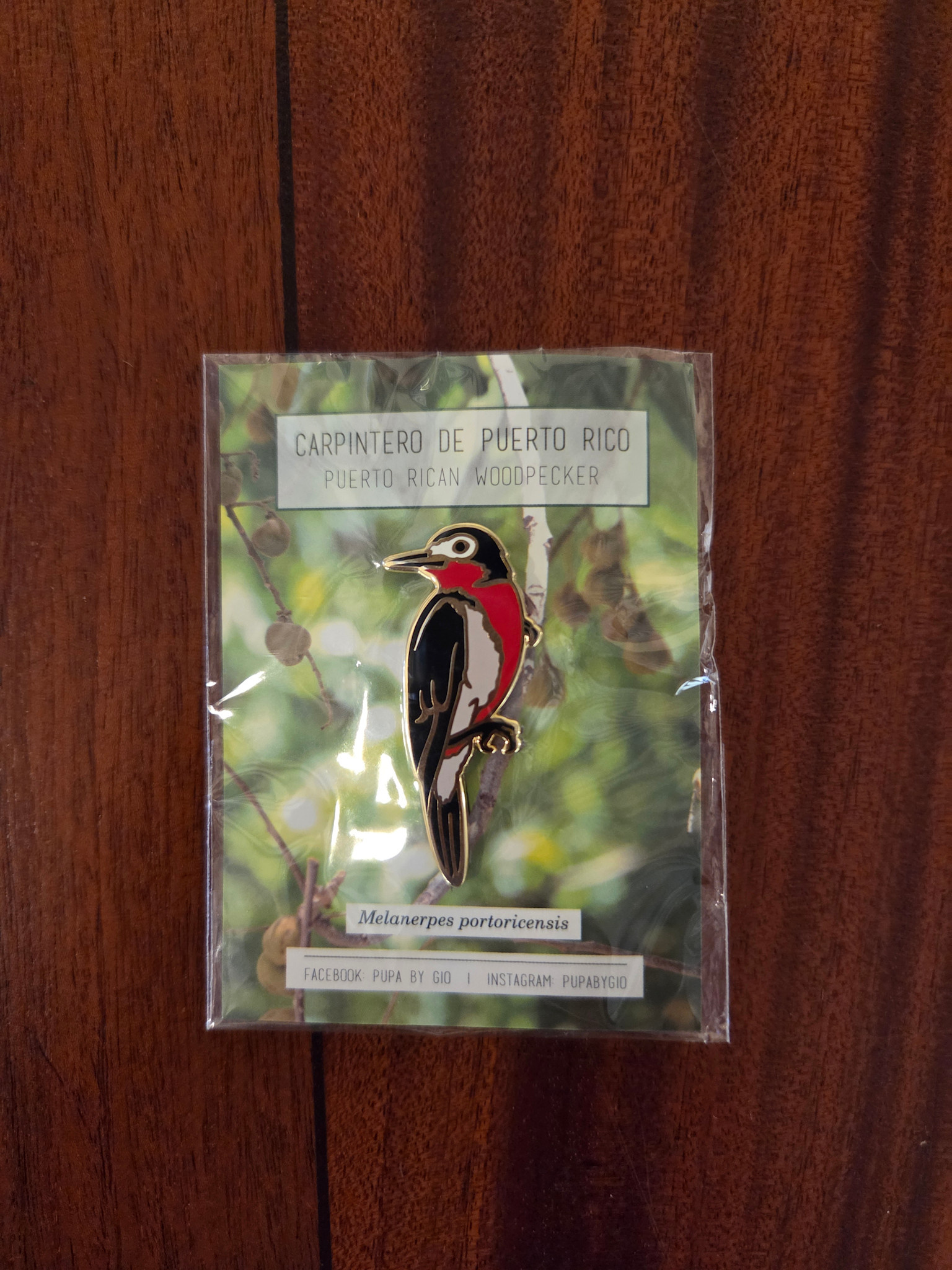 Pupa by Gio Pin Carpintero