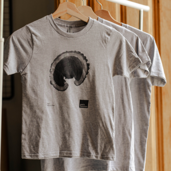 Apparel