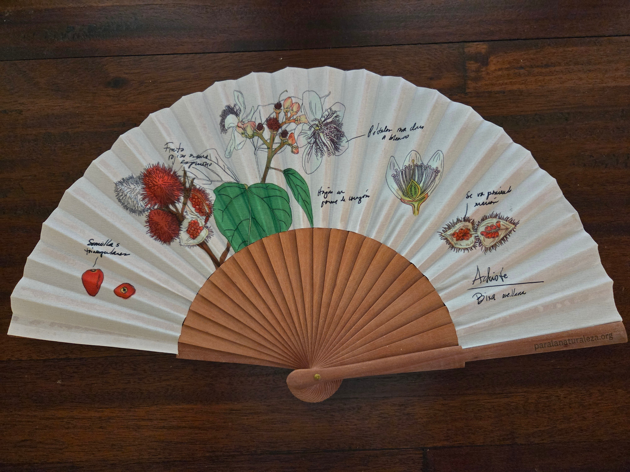 Illustrated Hand Fan