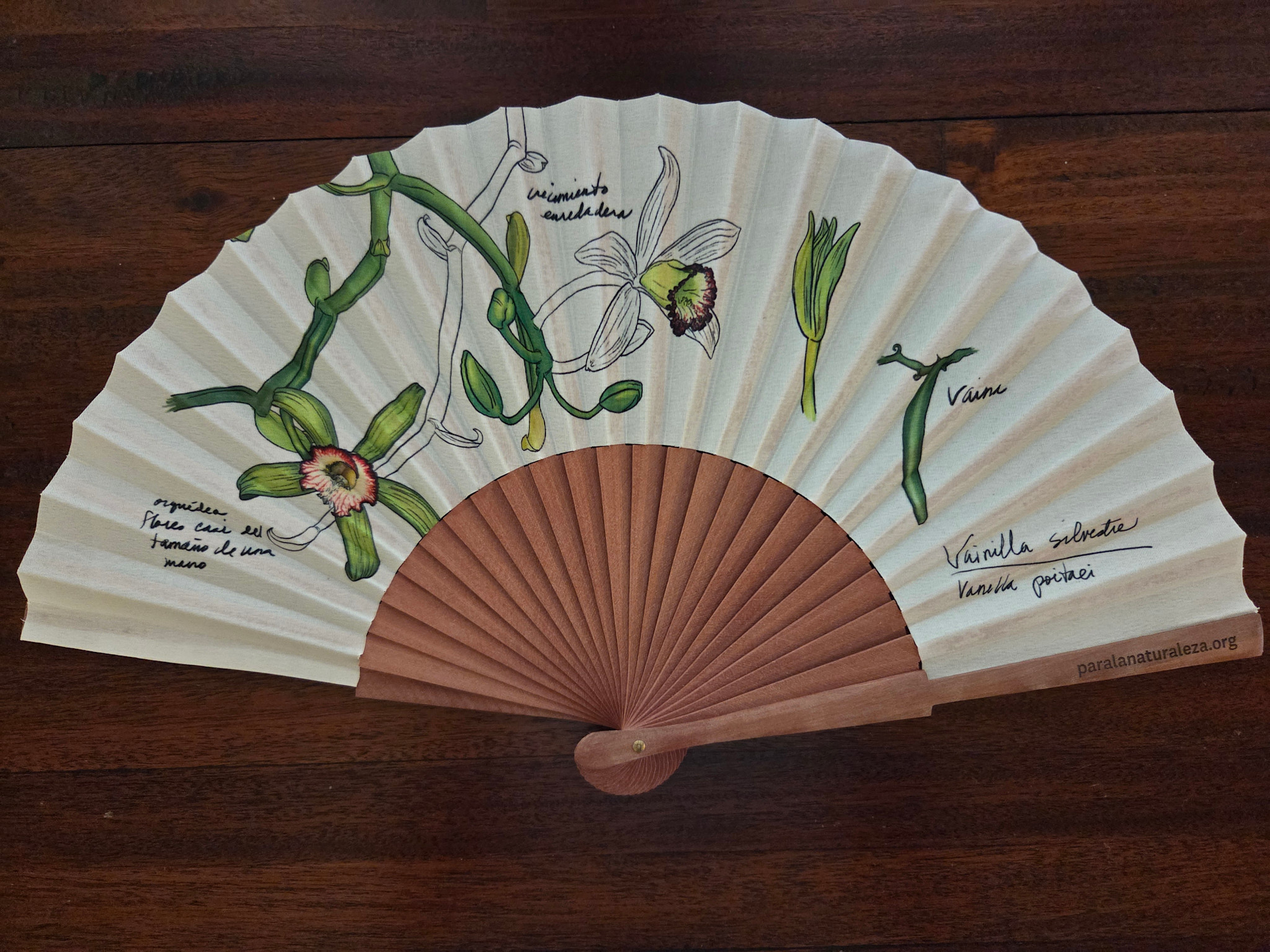 Abanico de mano ilustrado