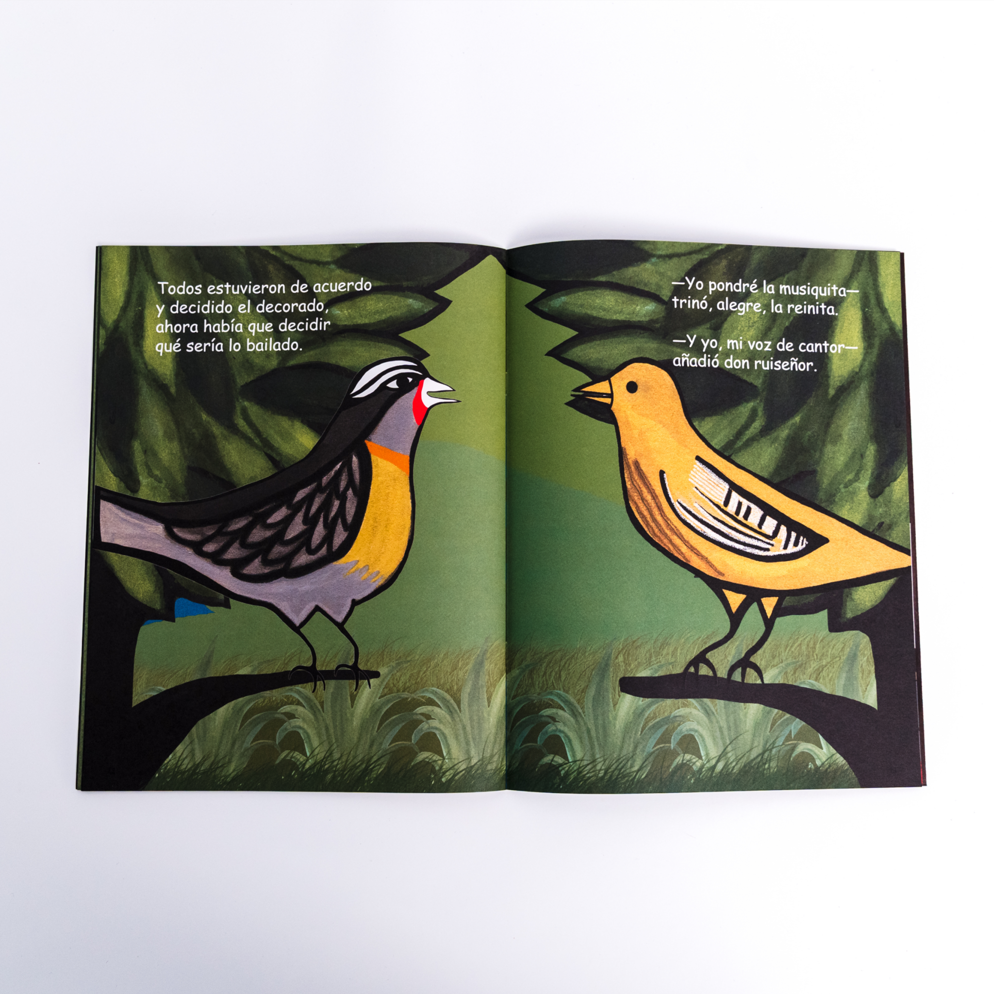 Una fiesta para Doña Cotorra - Wanda de Jesús