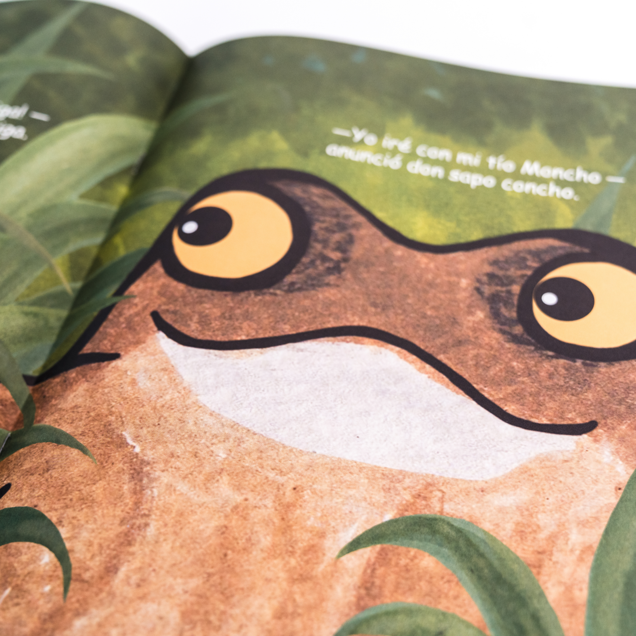 Una fiesta para Doña Cotorra - Wanda de Jesús