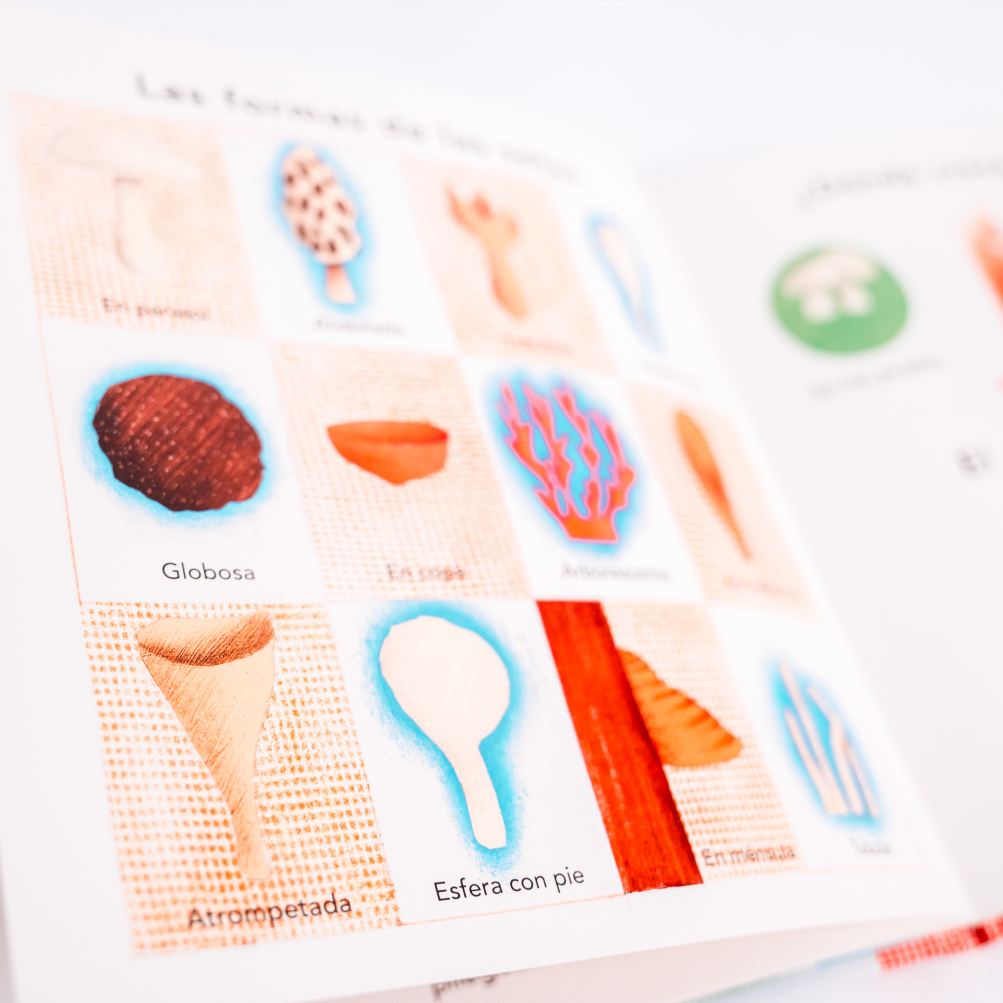 La mariquita - Bernadette Gervais