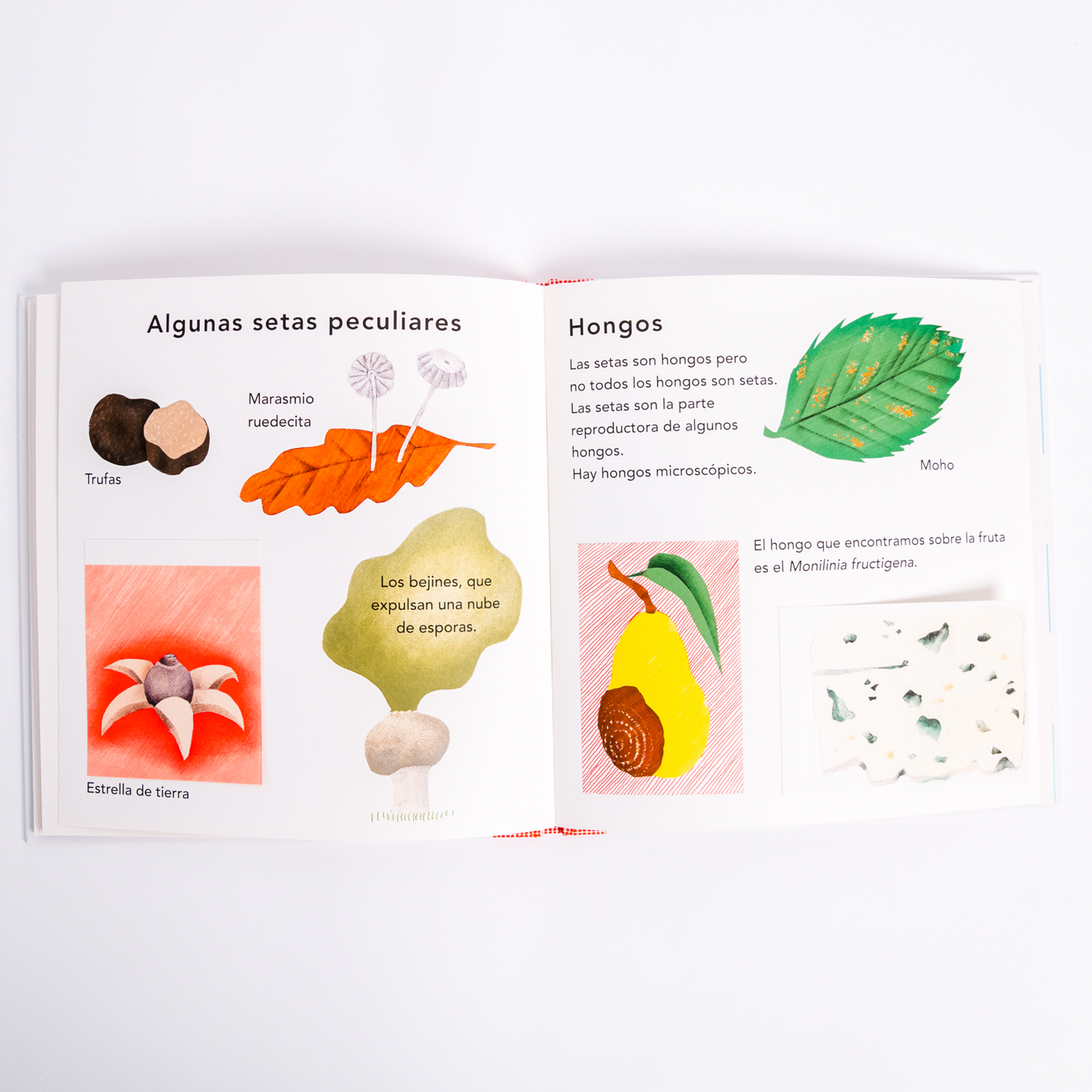 La mariquita - Bernadette Gervais