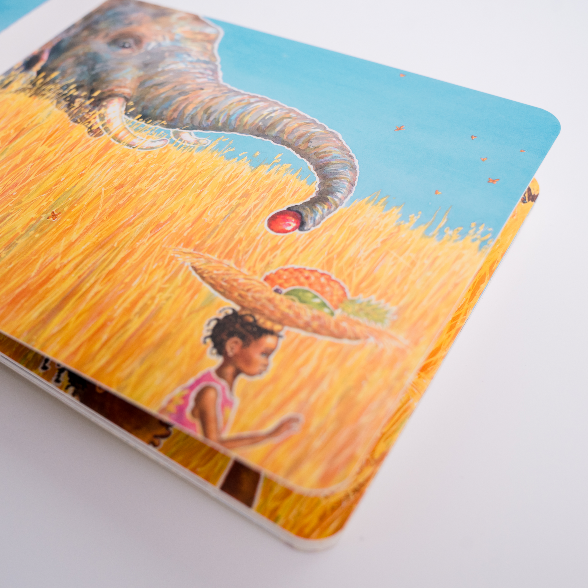 La sorpresa de Nandi - Eileen Brown