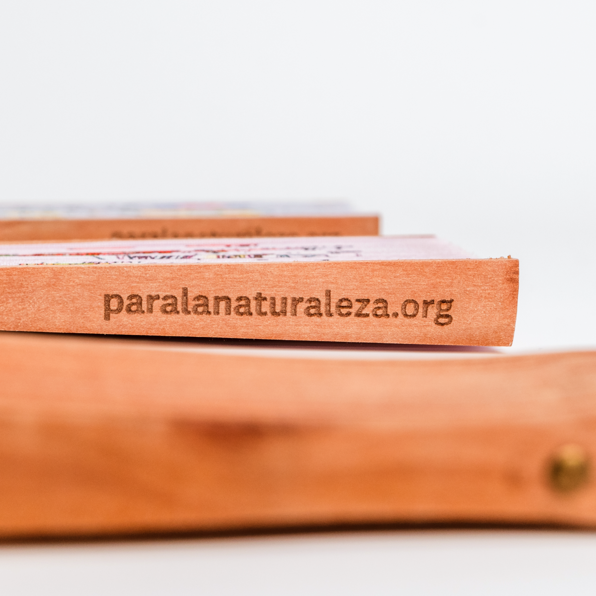 Abanico de mano ilustrado con Vainilla silvestre