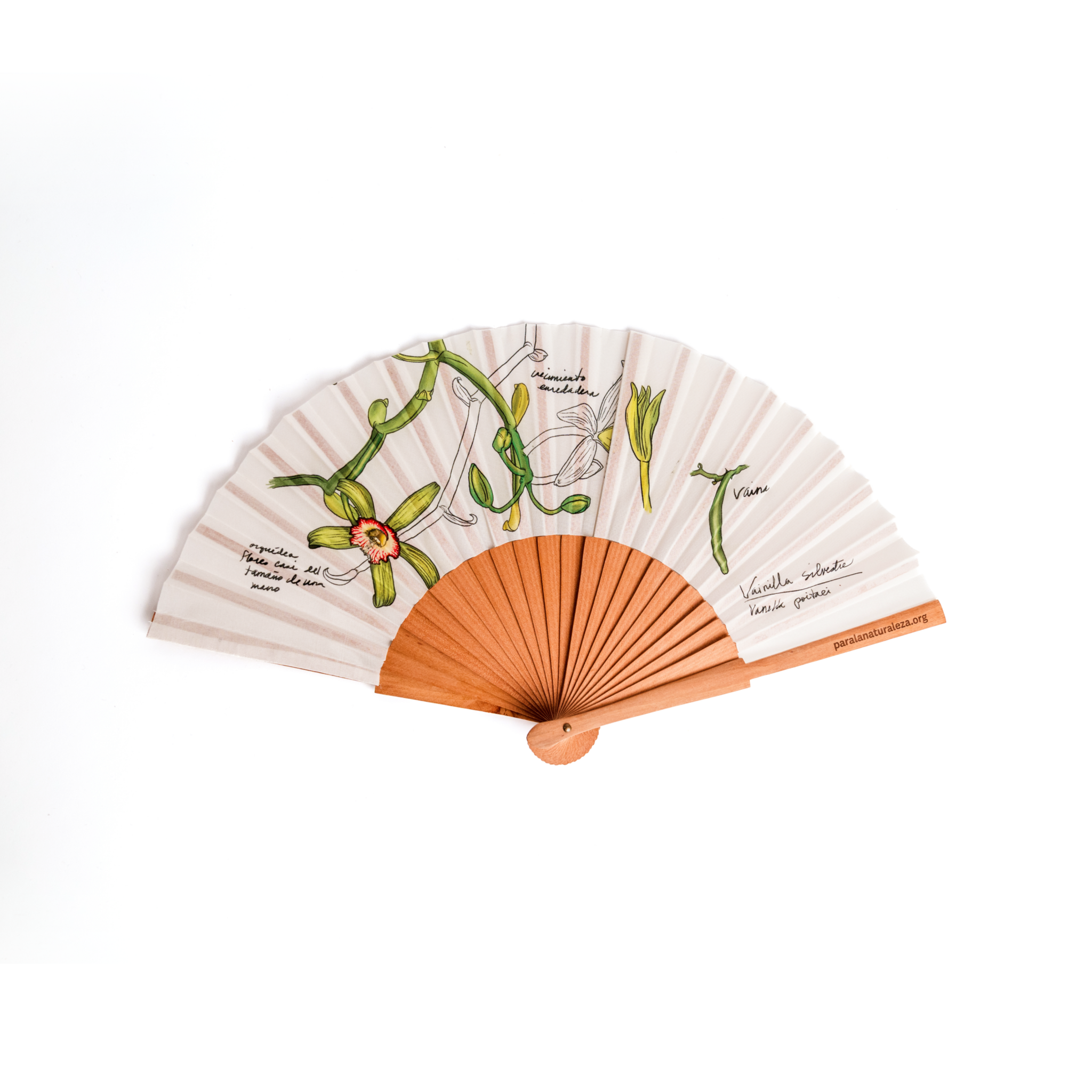 Illustrated Hand Fan With Vainilla silvestre