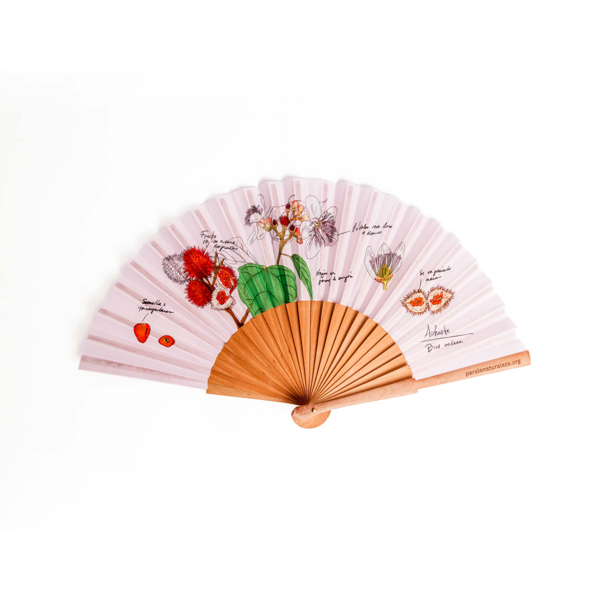 Illustrated Hand Fan With Achiote