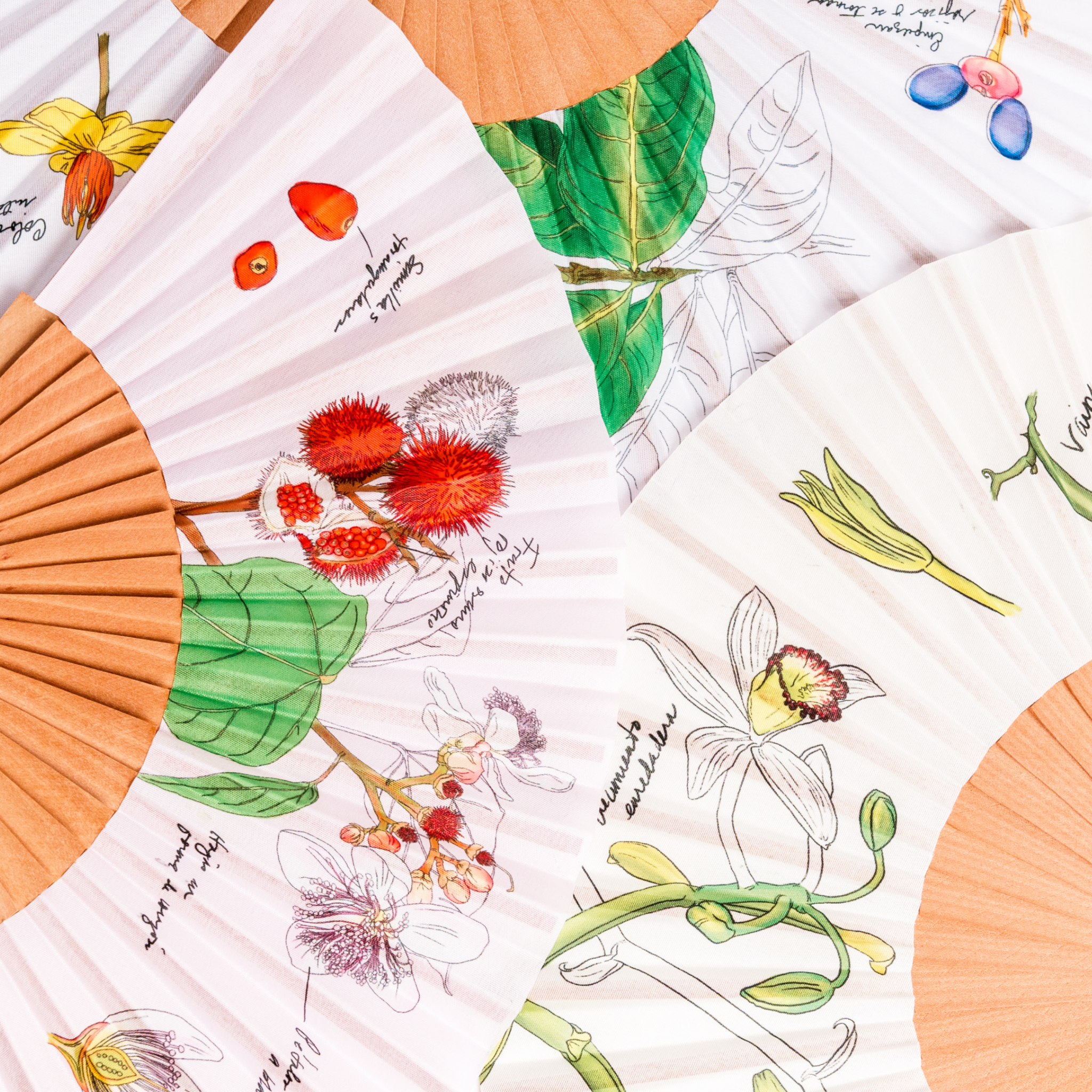 Abanico de mano ilustrado con Achiote