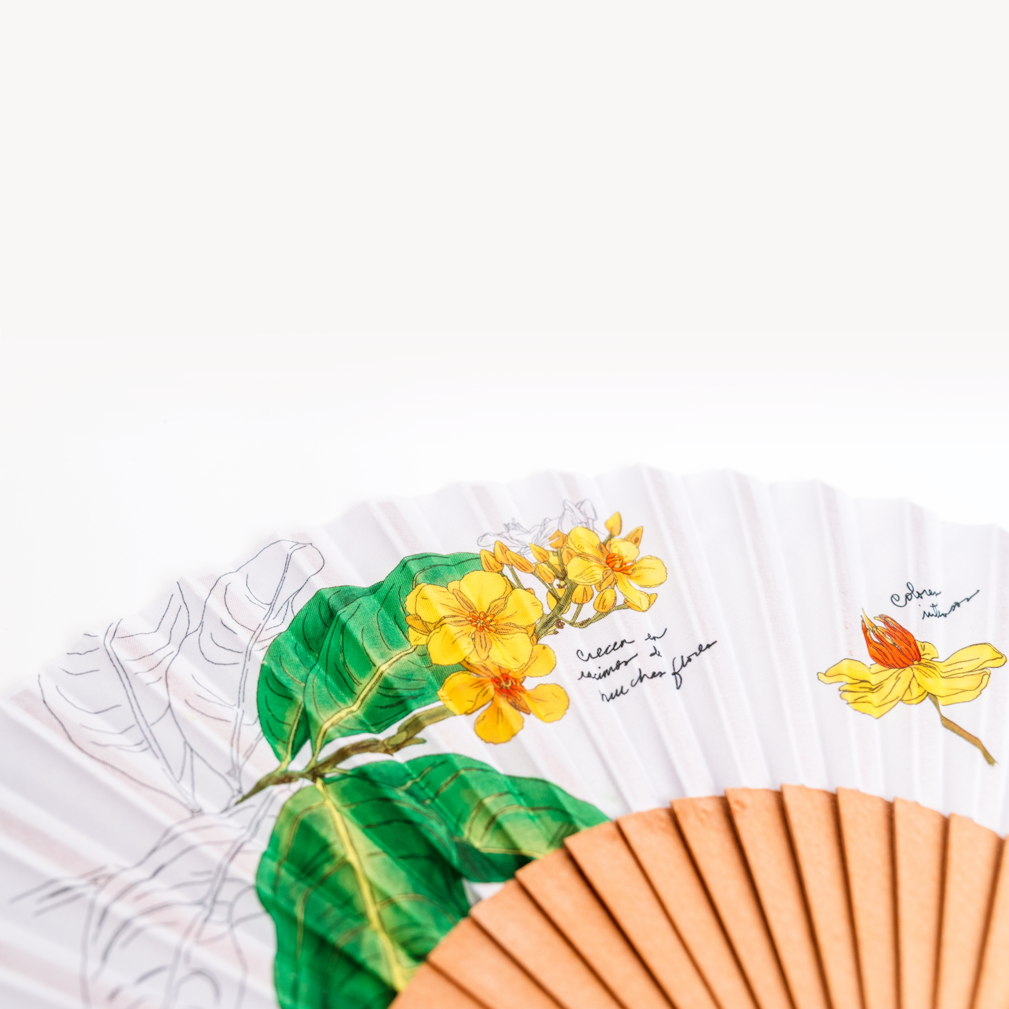 Abanico de mano PLN Abey amarillo