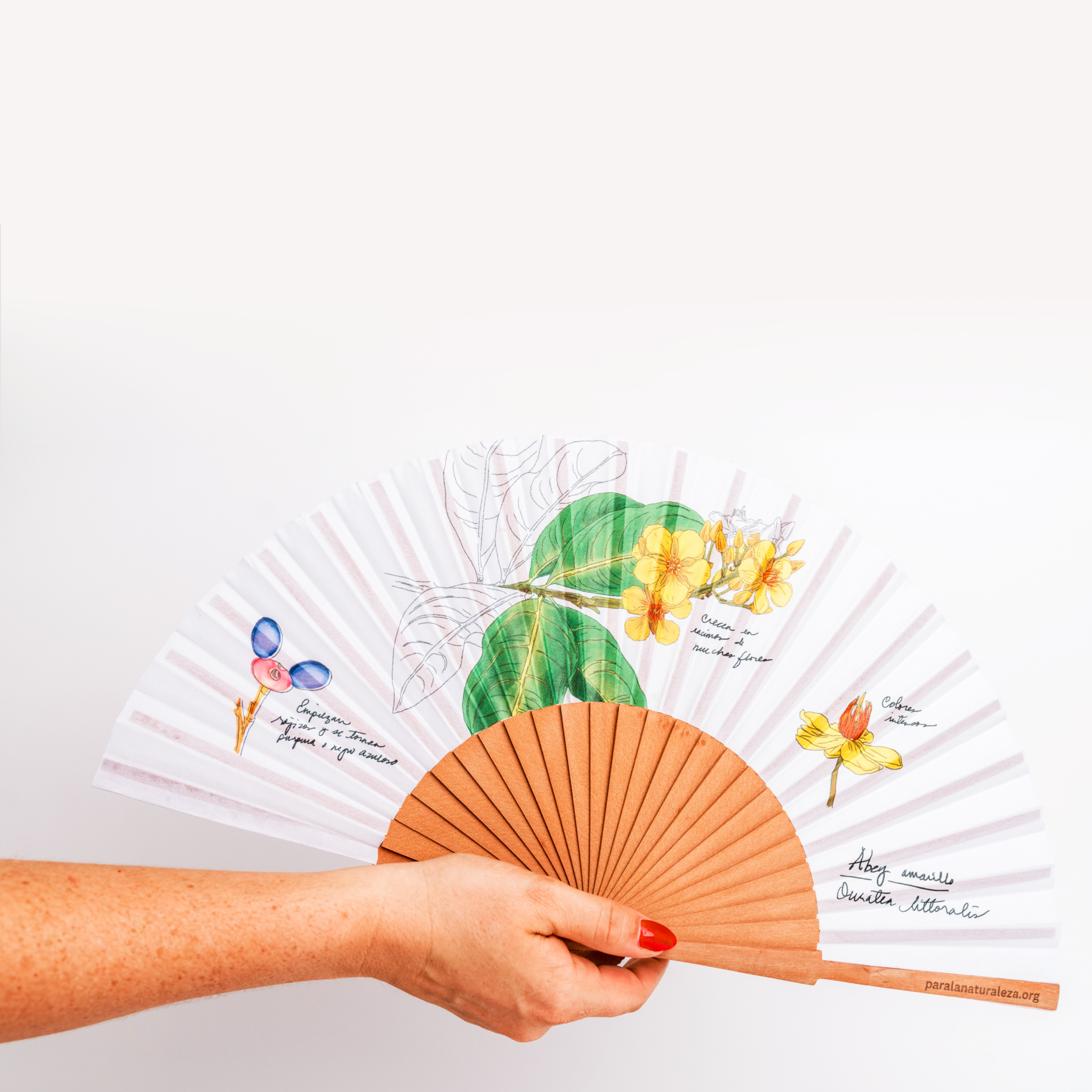 Abanico de mano PLN Abey amarillo