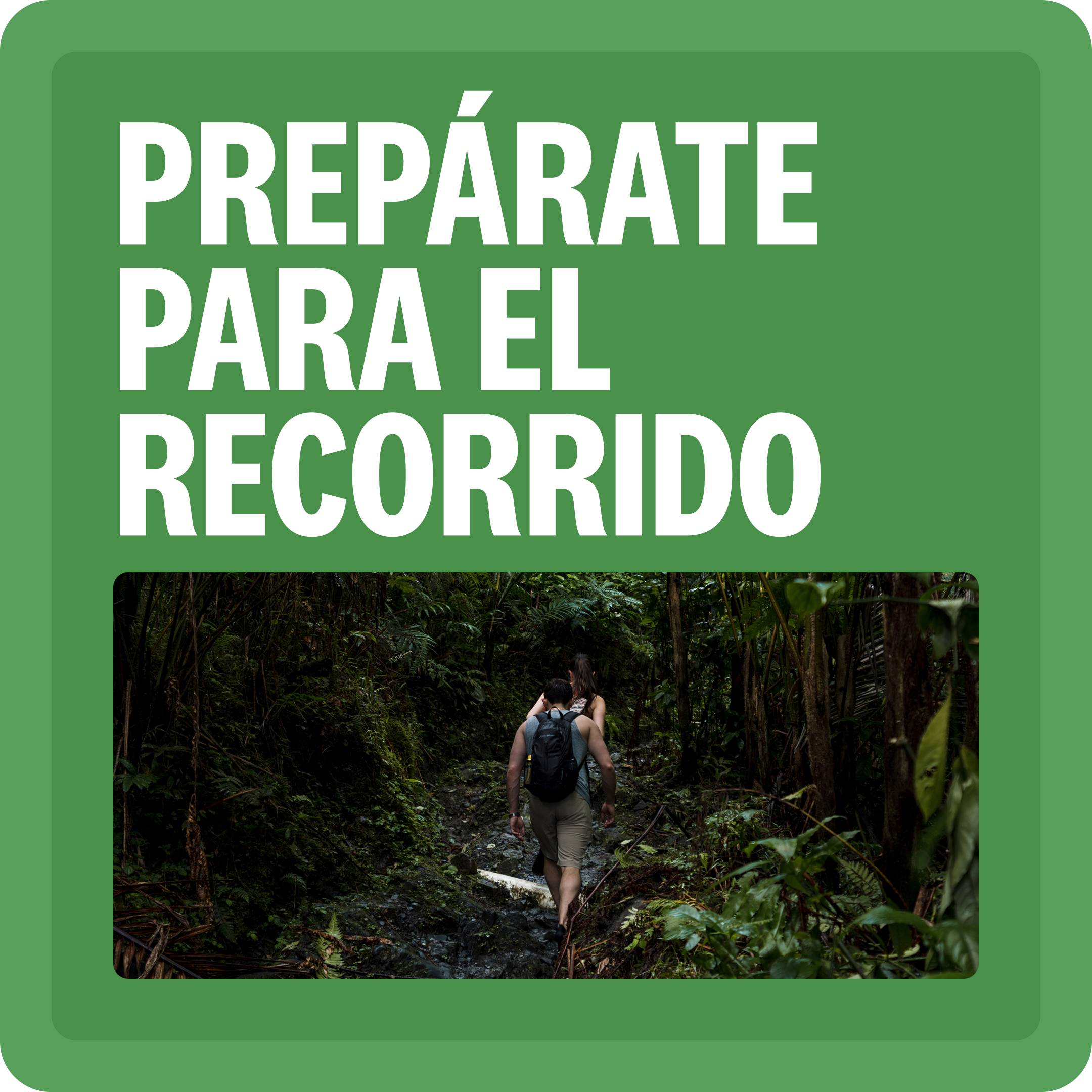 Conoce más