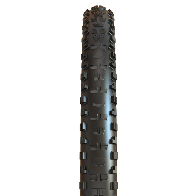 Maxxis Minion DHR II Tire - 29 x 2.6, 3C MaxxTerra, EXO, Wide Trail