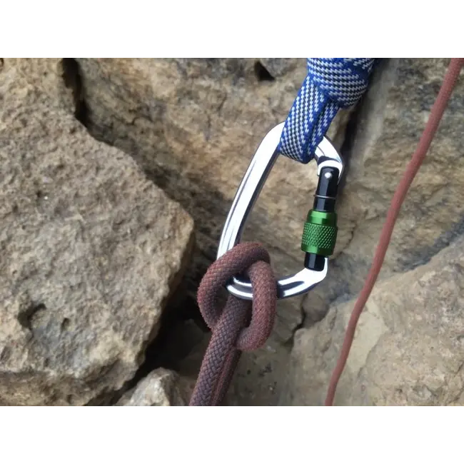 POSITRON SCREWGATE CARABINER