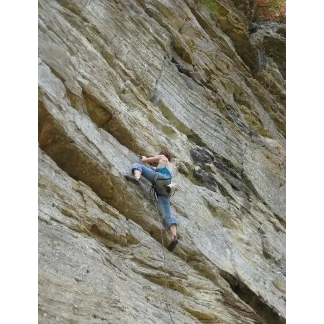 POSITRON BENT CARABINER