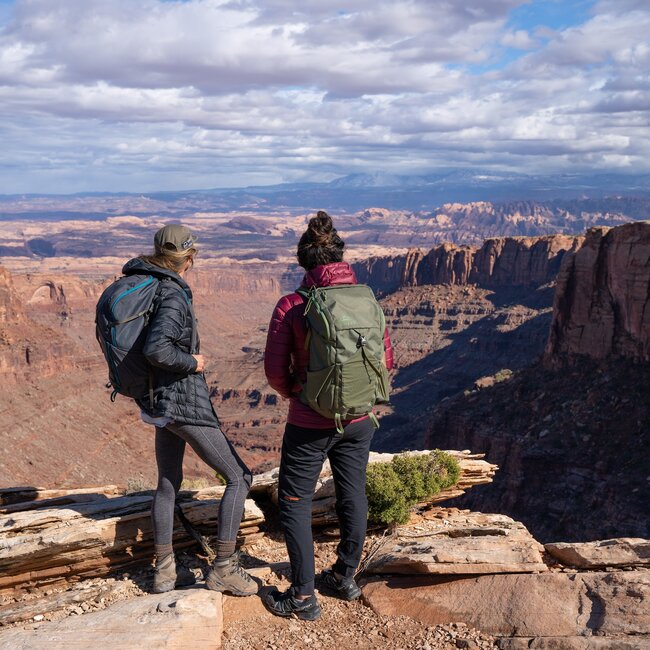 ASHER 35 WINTER MOSS/DILL