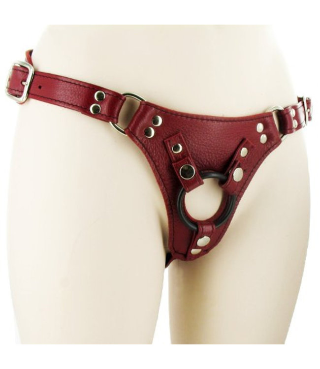 Aslan Leather Scarlet Corset Harness