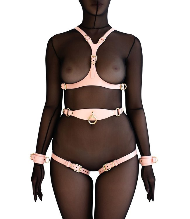 Pink Terra Leather Harness