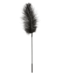 Ostrich Feather on a Stick