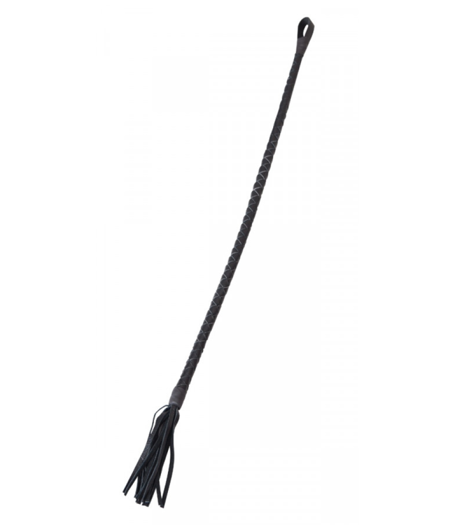 Leather Cane with Mini Whip