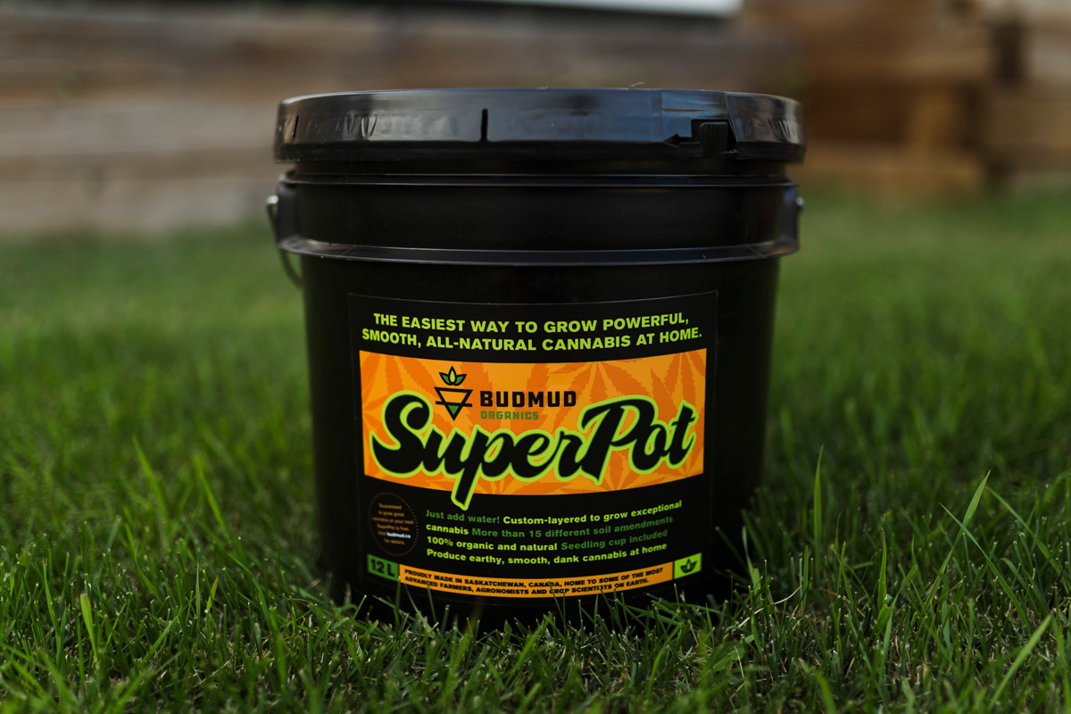 Bud Mud Super Pot