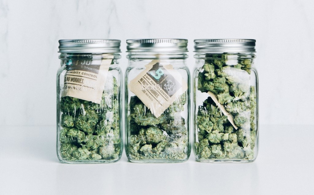 Cannabis Curing