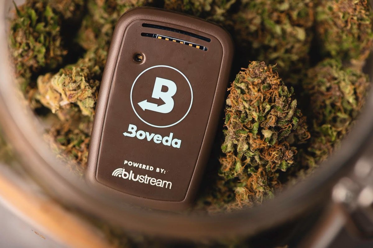 Cure your weed
