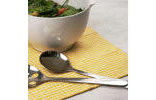 Salad Spoon Set/2 Endurance