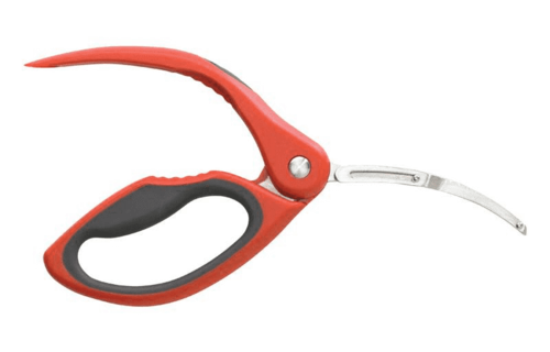 Shrimp Deveiner Hightailer