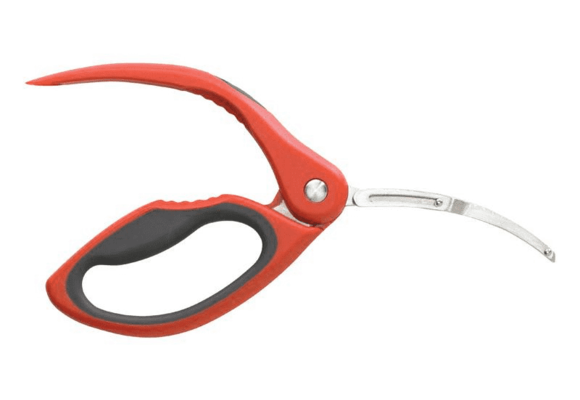 Shrimp Deveiner Hightailer