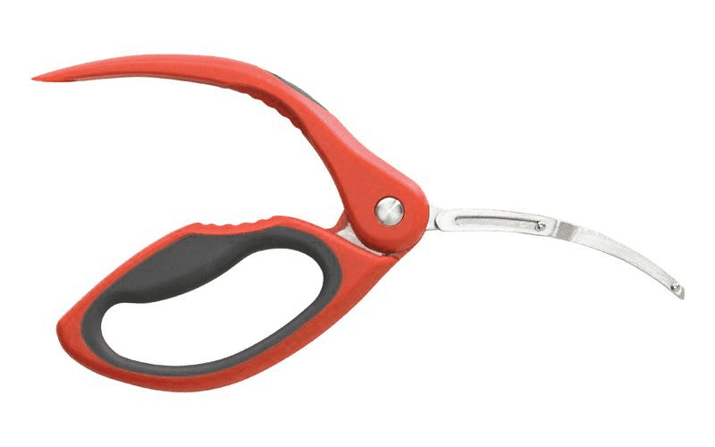 Shrimp Deveiner Hightailer