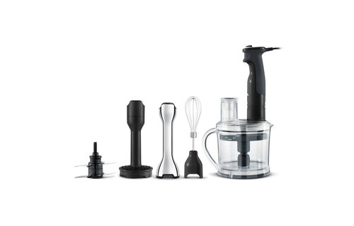 The All in One Processing Immersion Blender