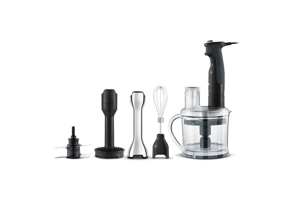 The All in One Processing Immersion Blender
