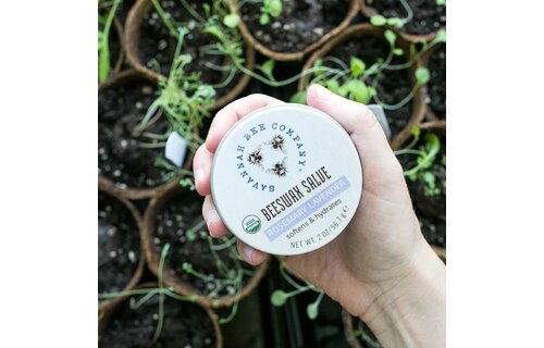 Hand & Nail Salve Rosemary Lavender