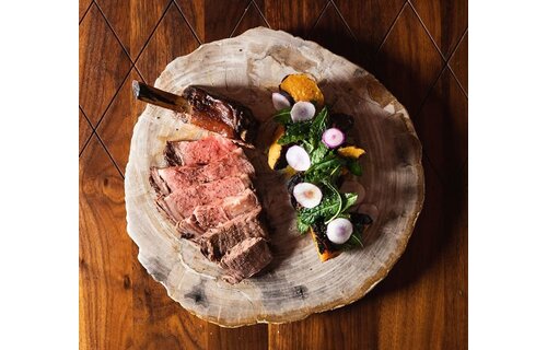 Presentation Board Petrified Wood  12"