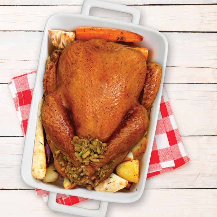 Lasagna Pan Porcelain