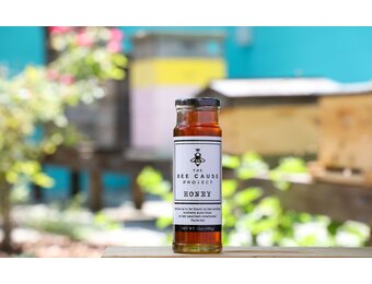 Bee Cause Honey 12oz