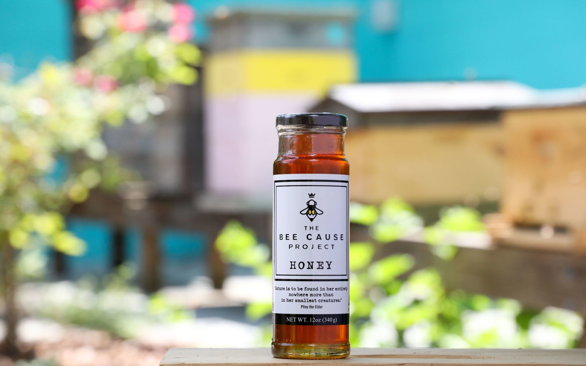 Bee Cause Honey 12oz