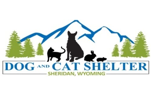 Stainless Tumbler Curved Get In Line