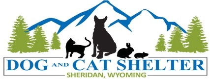 Stainless Tumbler Curved Get In Line